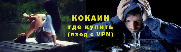 шишки Абаза