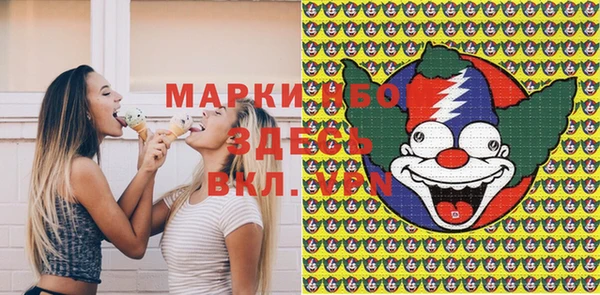 бошки Няндома