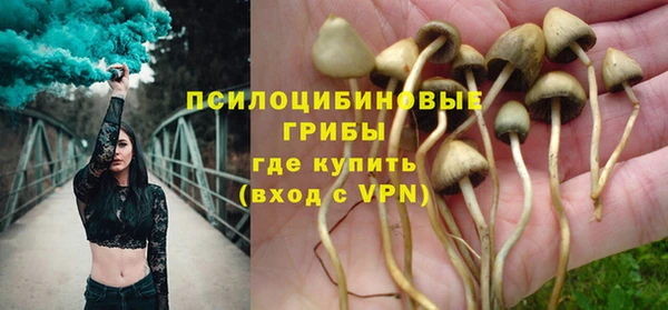 шишки Абаза