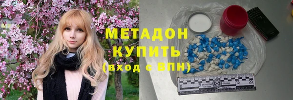 шишки Абаза
