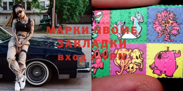 шишки Абаза